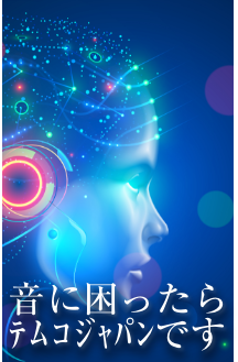 音で困ったらテムコです